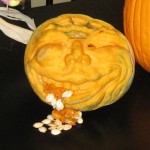 pumpkin barf-a-lot