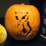Pumpkin "Cats Meow"