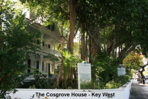 The Cosgrove House 1