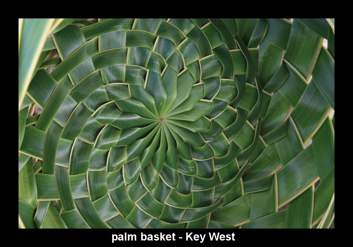 palm basket center