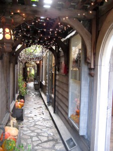 The alley beckons you to explore....