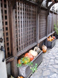 Pumkins in alley walkway, next to Kinkade Gallery